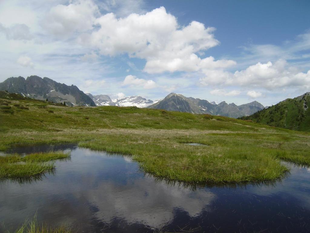 Studio Les Drus / Studio Du Brevent Шамони Екстериор снимка